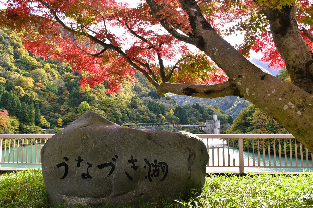 Kurobe_Unazuki's tweet image. 晴れてきました☀
＃紅葉 ＃黒部峡谷 ＃宇奈月温泉