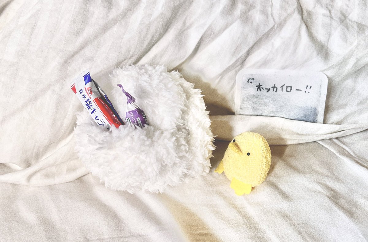 べあ（ぺい）🧸 (@beartikutiku) / Posts / X