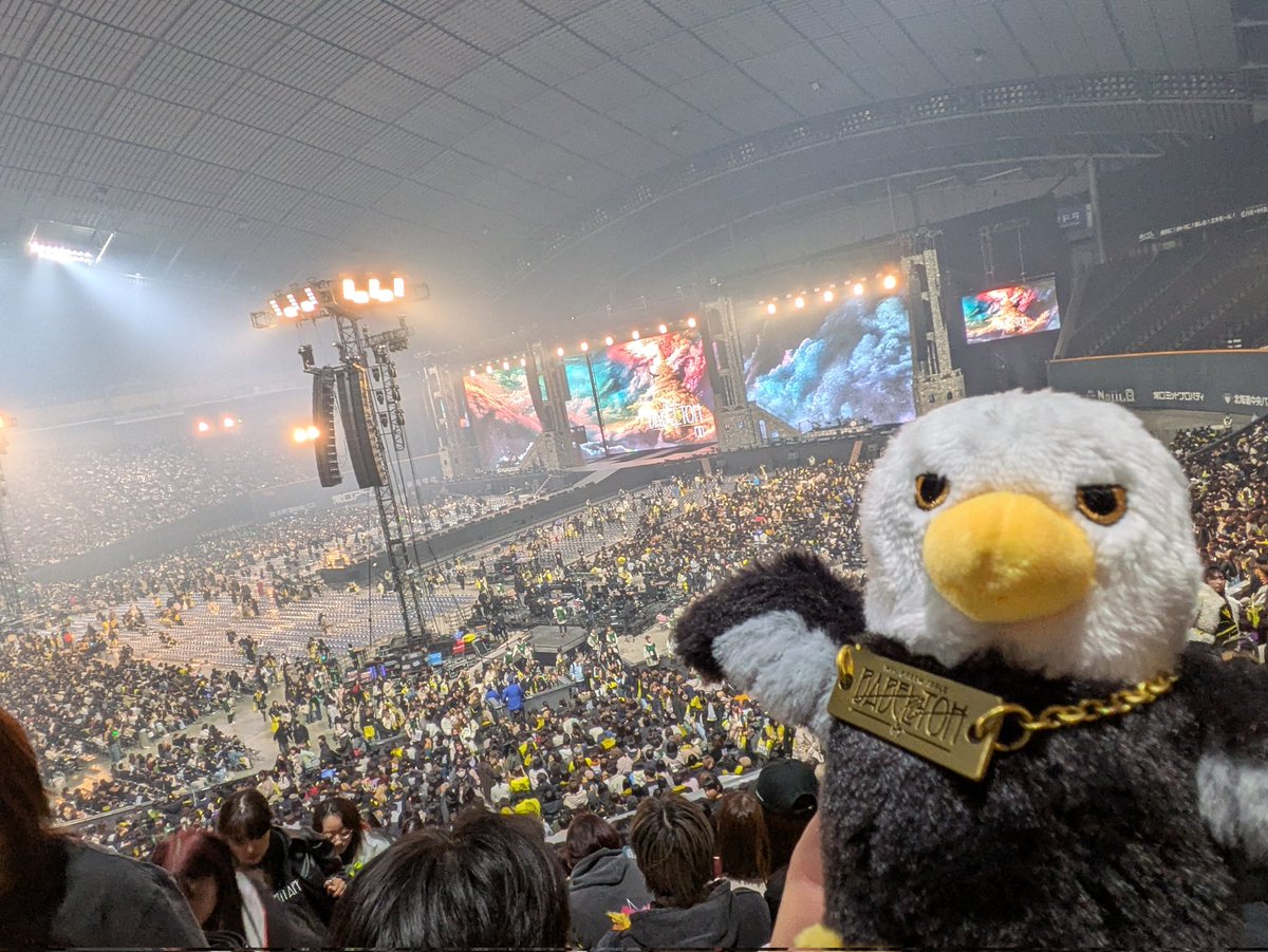 しんどぅ〜 tweet media