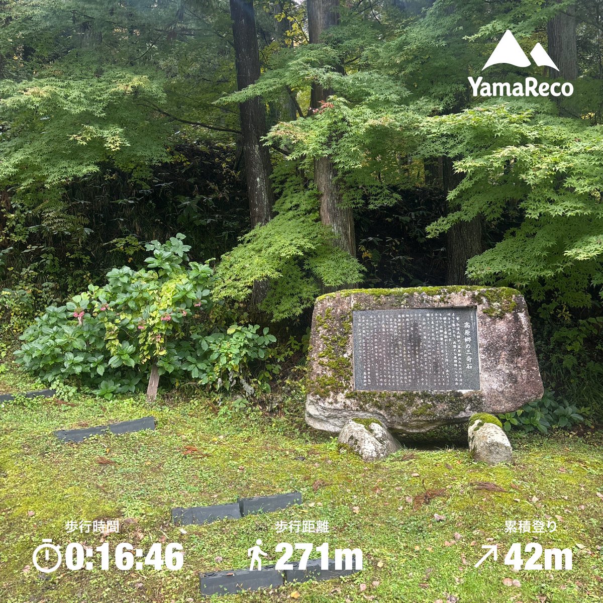 ヒロくん(師匠) (@hirokun_shisho) / Posts / X