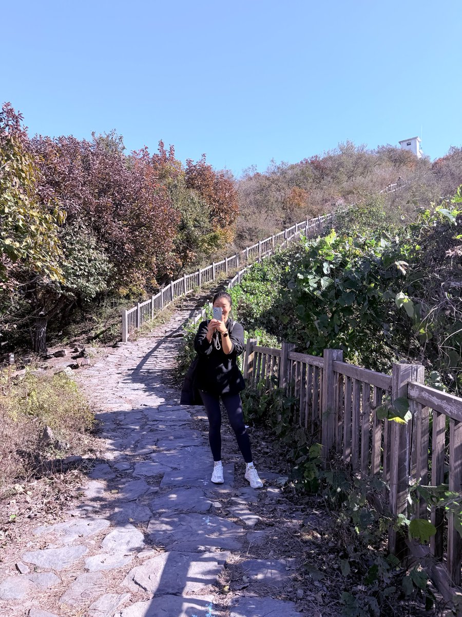 Rui (@Ruifang_F) / Posts / X