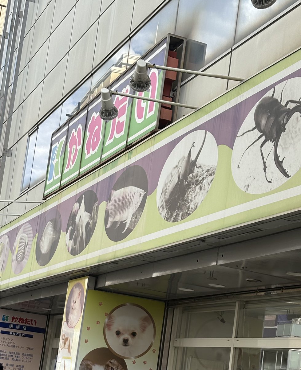 たけとら🦭 (@t_a_k_e_t_o_r_a) / Posts / X