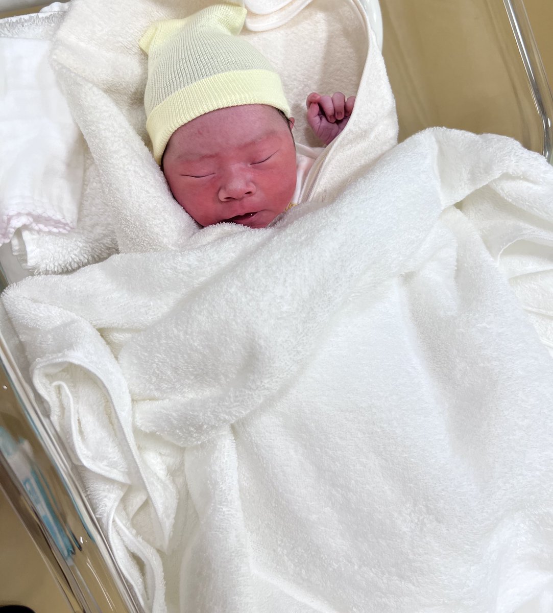 みど4y🎀+4m🦖 tweet media