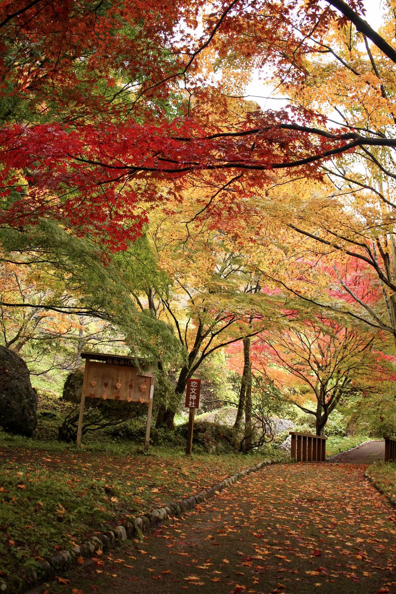 toshi.N👹⚽️🏃‍♂️🎸 on X