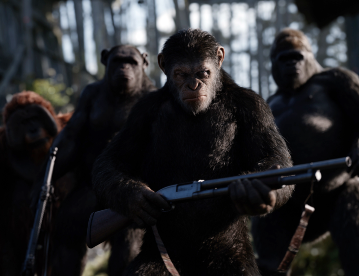 luckyboyryan's tweet photo. @AutismCapital https://t.co/Nor6ezXfvS