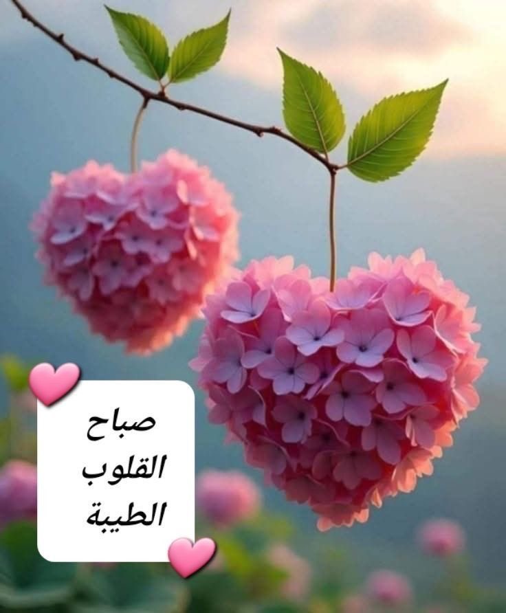 ‏د/ شيهانا القحطاني 💕 tweet media