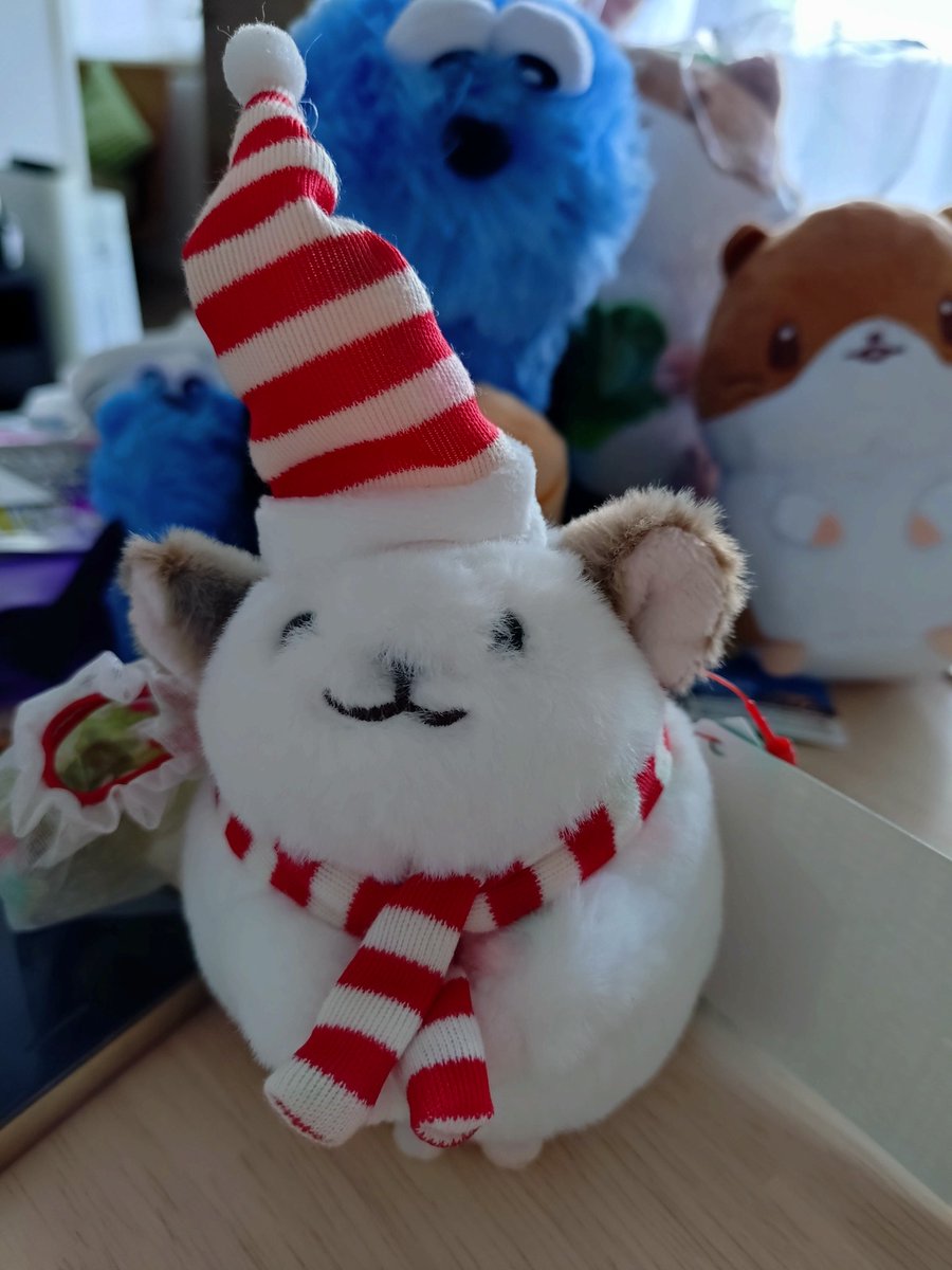 可愛すぎて即お迎えにいった…