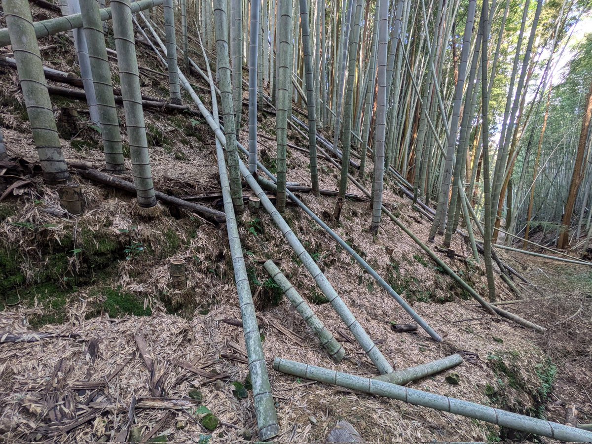 よーし後この場所で終わり！
ここ終わったら旅行に行くんだ！！