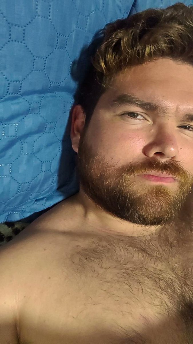 🐻