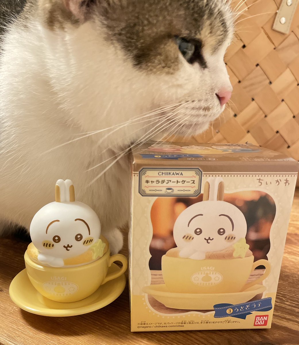 choco♥¨̮専用となります choco on X