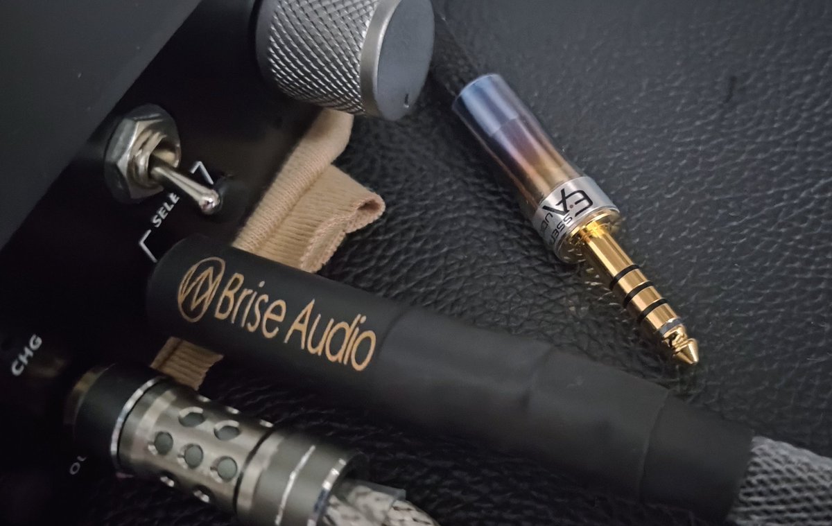 AIMS × ESSENCE AUDIO コラボ OG-01 4.4 2pin AIMS × ESSENCE AUDIO コラボ OG-01 4.4 2pin AIMS × ESSENCE AUDIO