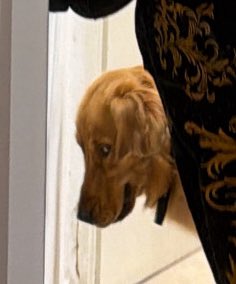 rodricarreraaa's tweet image. 