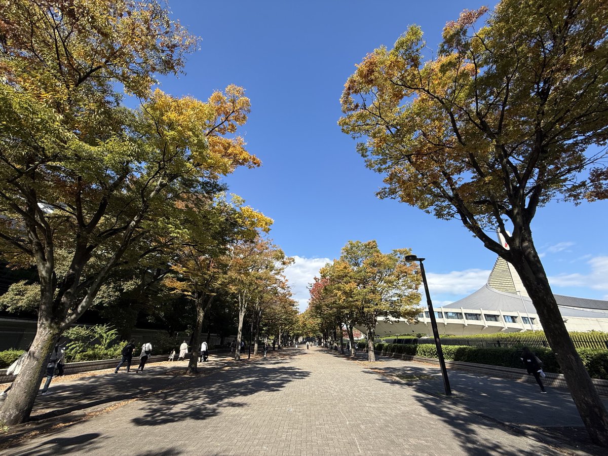 electronica02's tweet image. 文化の日は駒沢公園と代々木公園をジョギングでハシゴ。秋を感じながら走る。