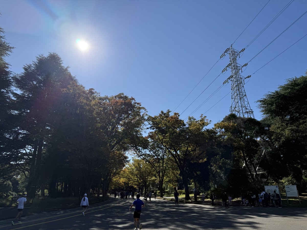 electronica02's tweet image. 文化の日は駒沢公園と代々木公園をジョギングでハシゴ。秋を感じながら走る。