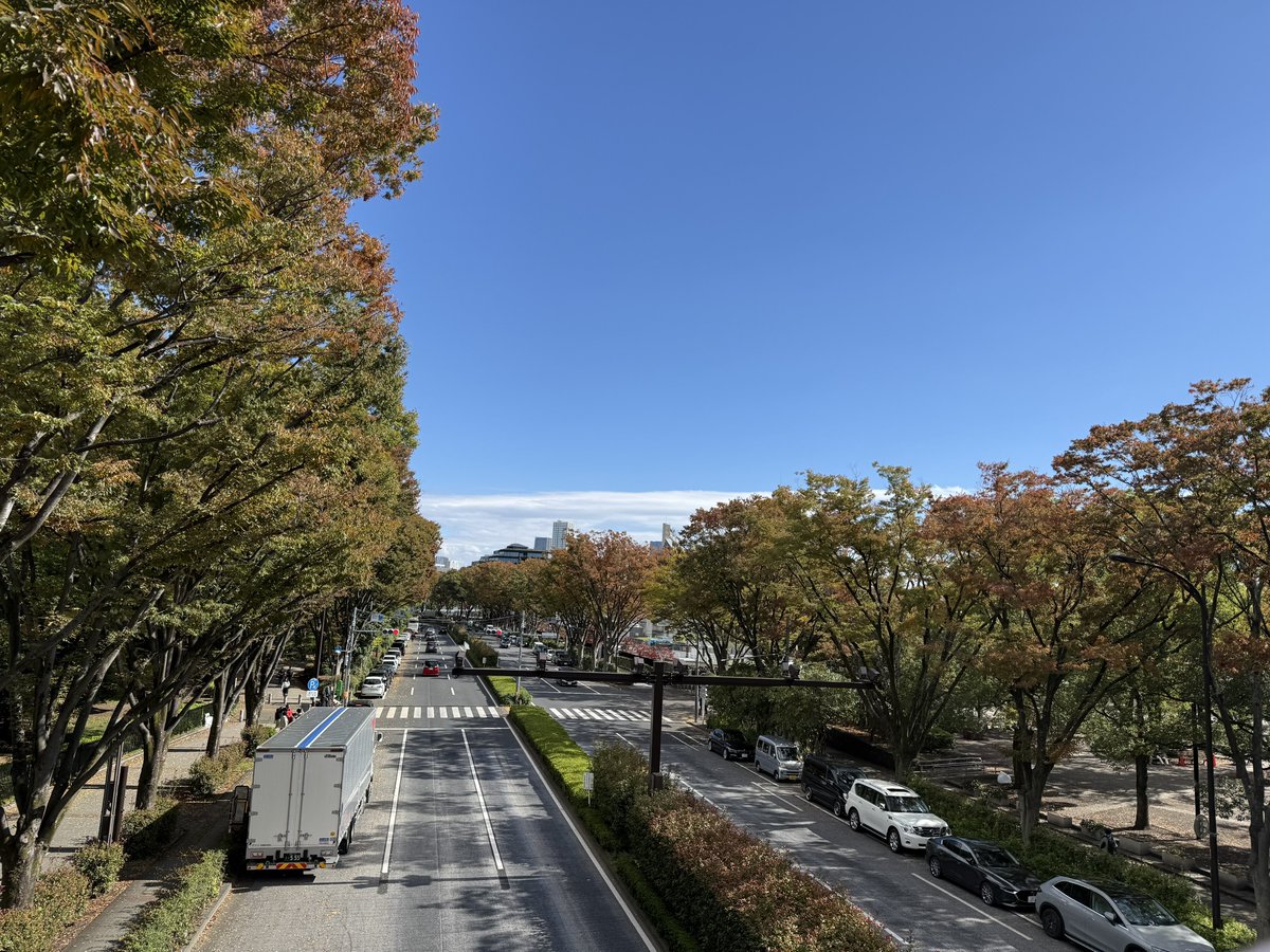 electronica02's tweet image. 文化の日は駒沢公園と代々木公園をジョギングでハシゴ。秋を感じながら走る。