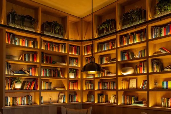 BarrAlexandra's tweet image. imagine it’s a cold, foggy sf evening and you’re inside the oai library listening to pink floyd’s DSoTM end to end for the first time in your life