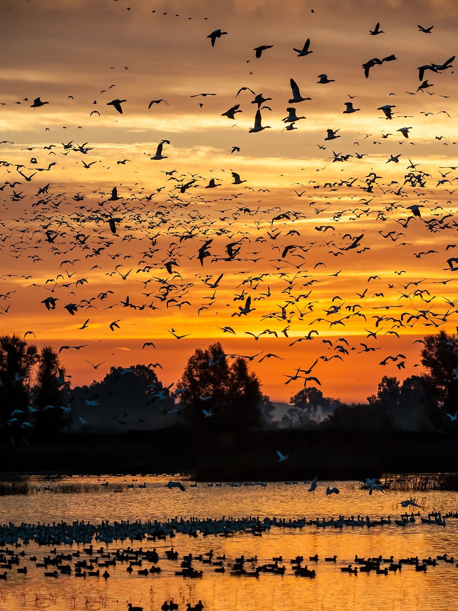 Every sunset brings the promise of a new dawn.” — Ralph Waldo Emerson