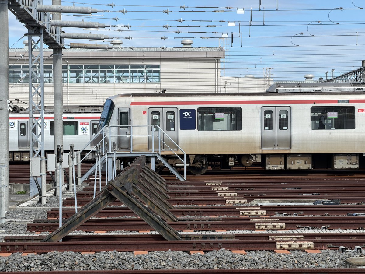 はっぱ (@happapom) / Posts / X