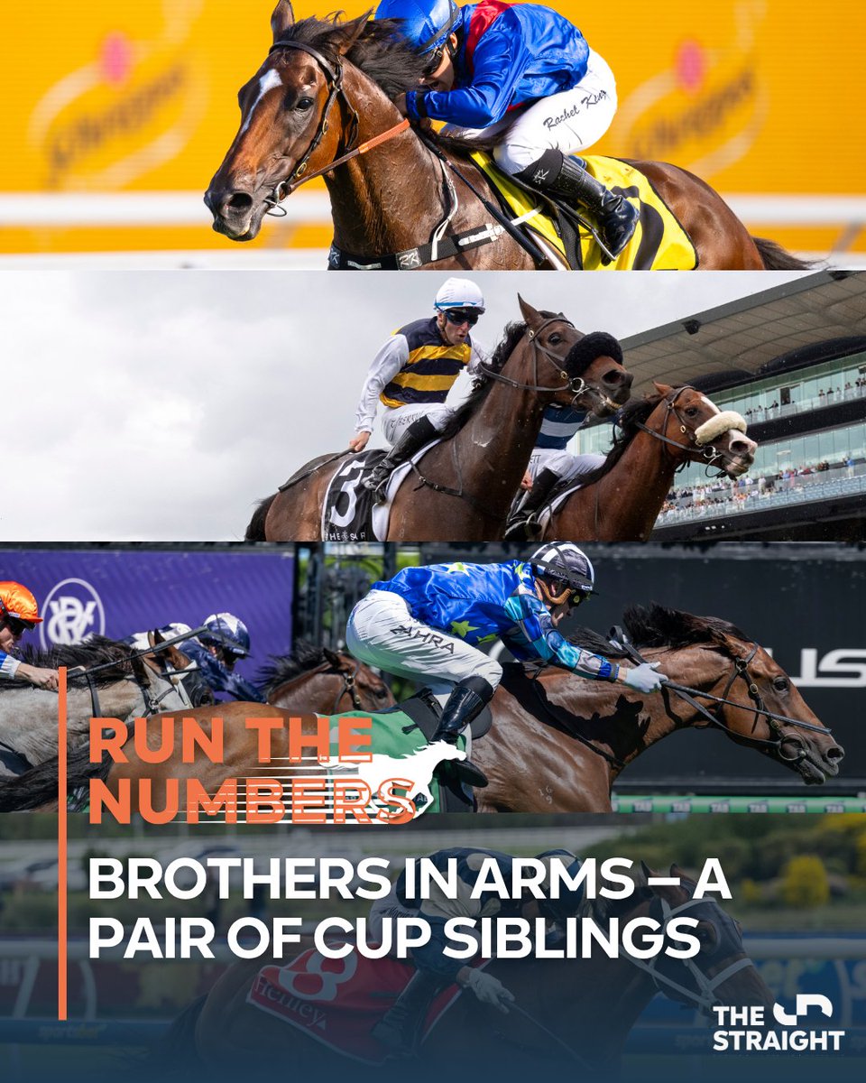 🏆 CUP BY NUMBERS: Brothers in Arms 🇮🇪🇫🇷

For the first time in 14 years, two sets of siblings will contest the Melbourne Cup.

👬 Buckaroo &amp; Middle Earth – out of Roheryn
👬 Arapaho &amp; Athabascan – out of Alzubra

🧬 Only the 3rd time since the 1800s that brothers will line up