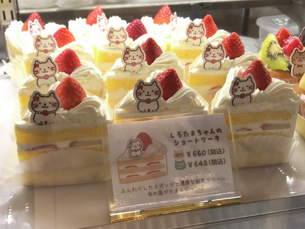 fukufuku_nyanko's tweet image. ／
#ふくふくにゃんこ × #コロンバン
コラボカフェ本日OPEN～✨
＼

初日からたくさんのご来店
ありがとうございます♪

#原宿みっころ ちゃんと
何のケーキにしようか相談中かな？

🍰原宿サロンはこちら
コロンバンcolombin.co.jp/shop/20240719.…

📅11月24日(月・祝)まで開催中☕

#コラボ
#ふくふくにゃんこ集会