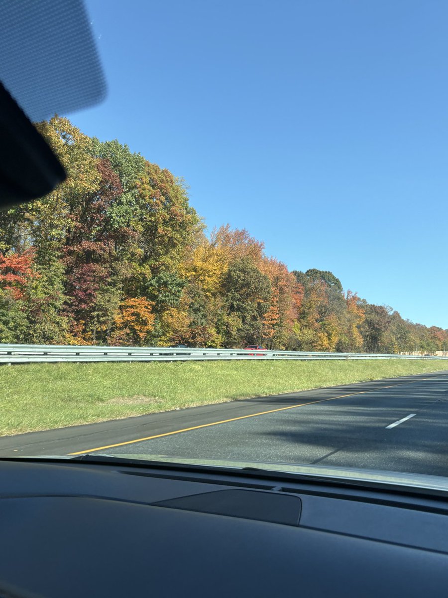 JCMckinleyauth's tweet image. Fall time favorites
Yellow
Red
Still some green
#Autumn #AutumnVibes #falltime #fallleaves #leaves