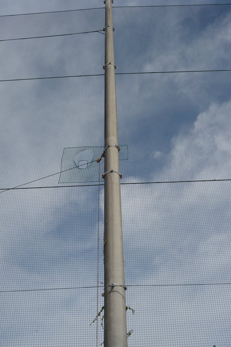 菅谷昌弘 (@kizmiwan) on Twitter photo 