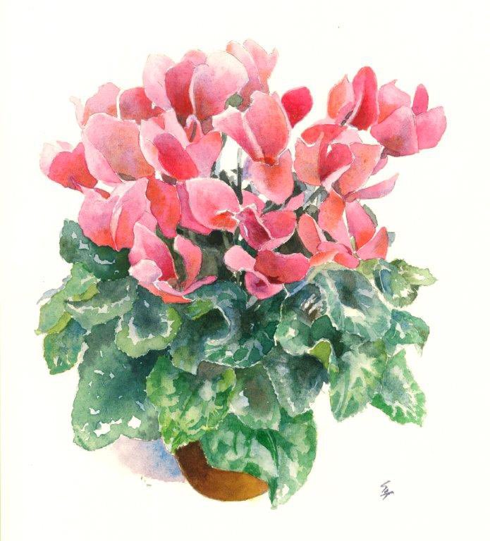 サクラアートサロン on X