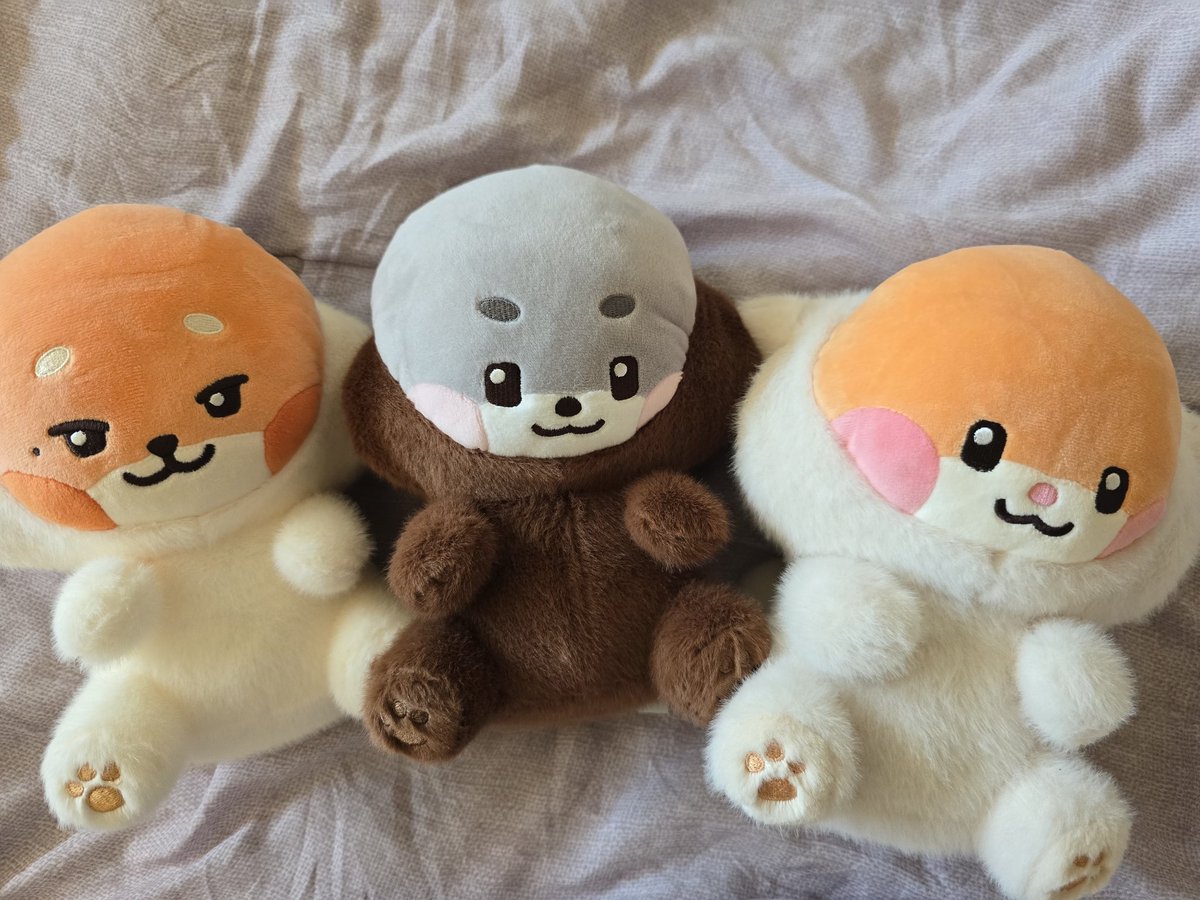 hanbeenaa's tweet image. 대머리 삼형제 제로니😝