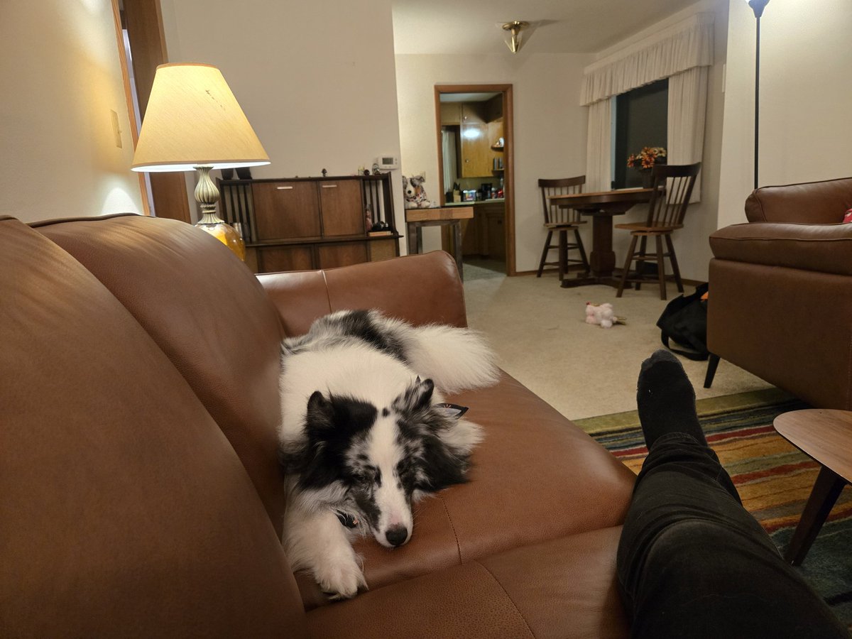 We are OFFICIALLY moved in, mostly unpacked, still some stuff to go through in the garage but it feels so good to be in my new home! Elvis is really enjoying all the space!