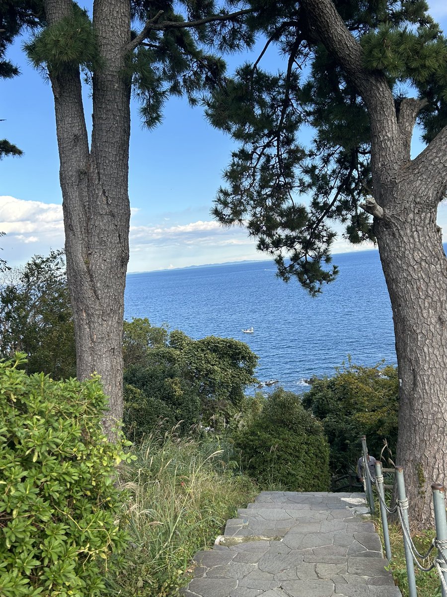 jasmine (@search0212bht) / Posts / X