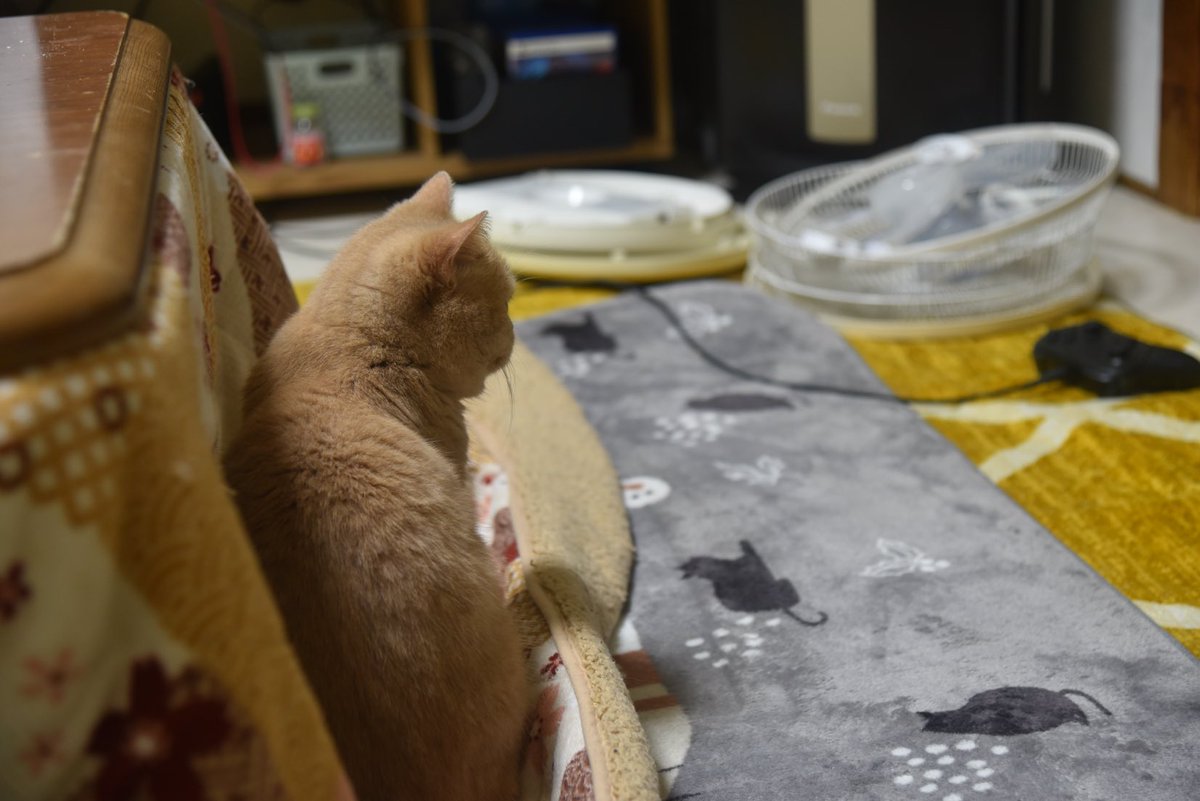 yoshii kusano (@KusanoYosh) / Posts / X