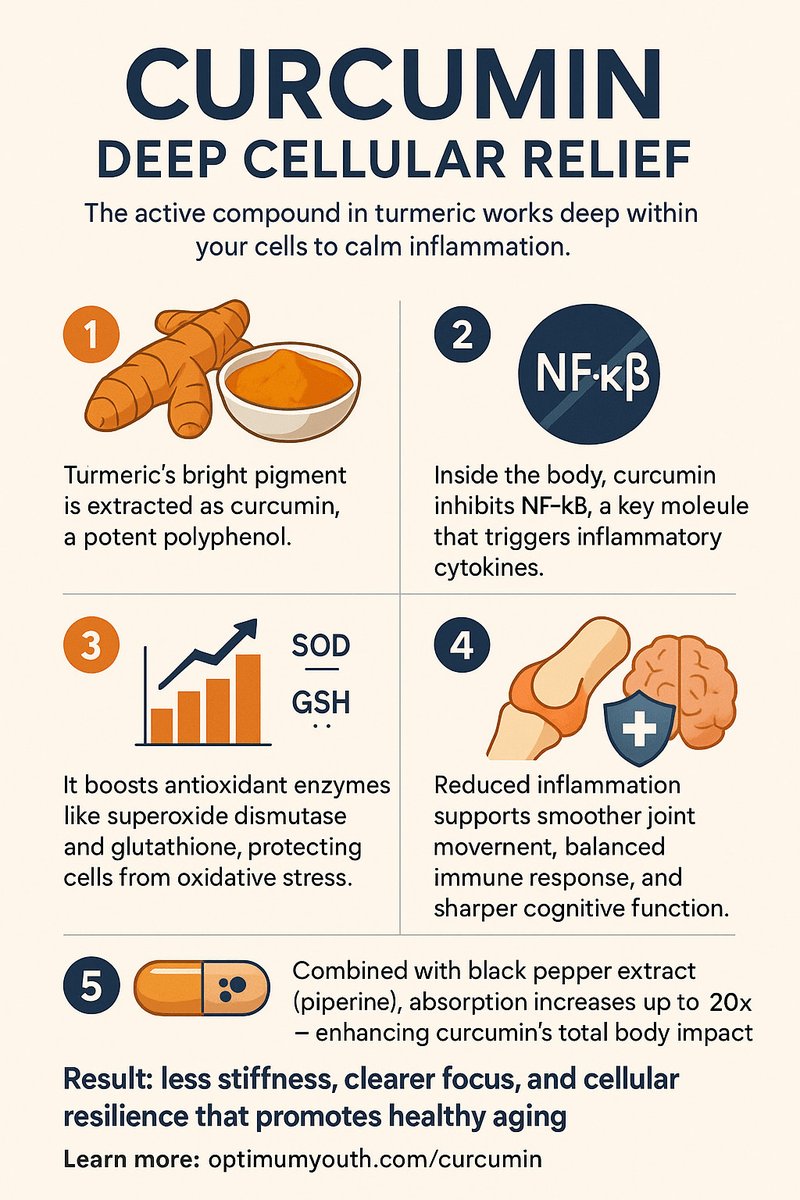 optimum_youth's tweet image. Curcumin — turmeric’s active power — blocks NF-κB, fights inflammation, and protects your brain + joints. 🧠💪
See how it works in this quick science-backed infographic 👇
👉 optimumyouth.com/curcumin
#Curcumin #AntiInflammatory #BrainHealth #JointHealth