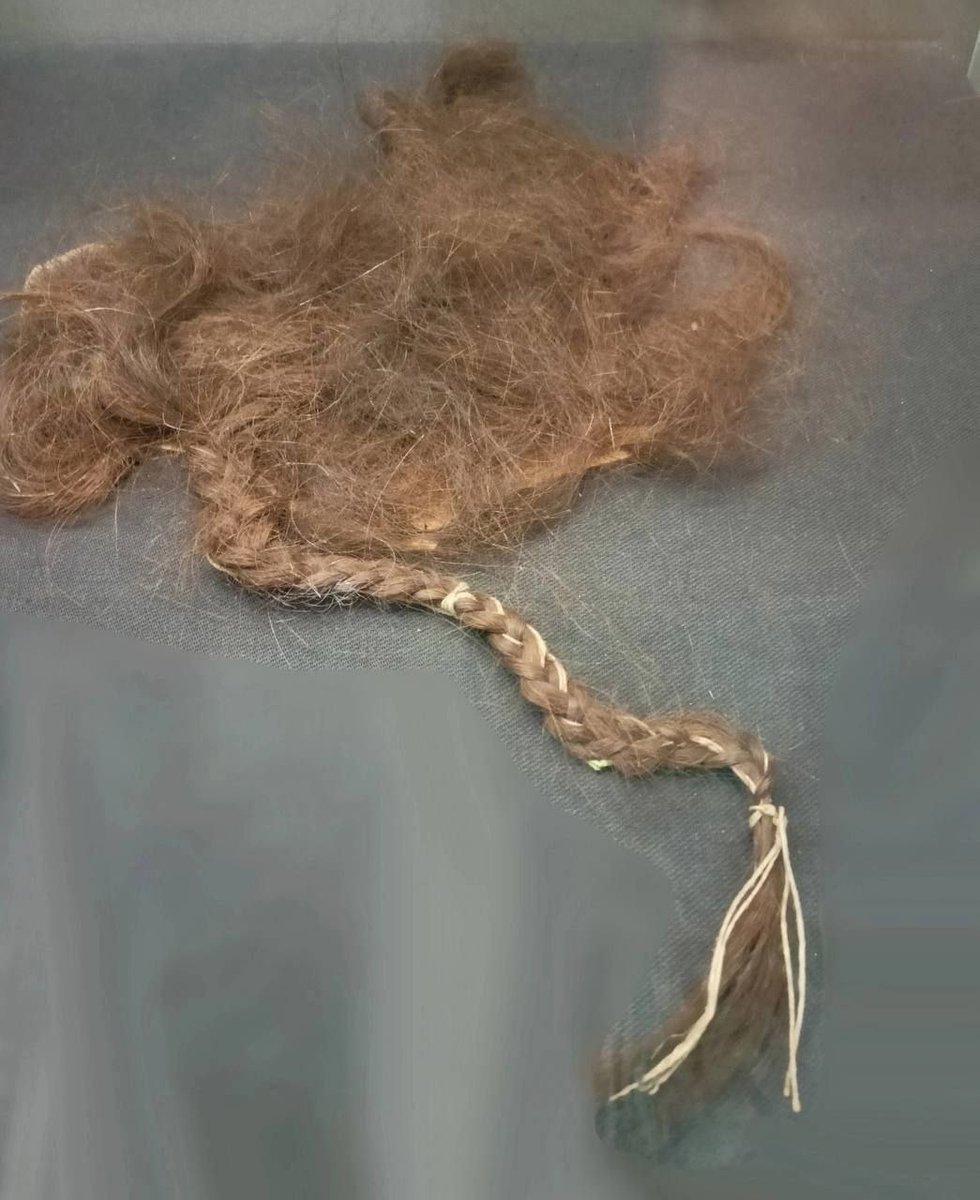 DivanAnalitik's tweet image. The Braid of the Serf Tatyana Petrova

(Replica, National Museum of Chuvashia)

This grim exhibit reproduces the braid of the serf Tatyana Petrova, which was torn out in 1842 by her landowner, Vera Sokolova.