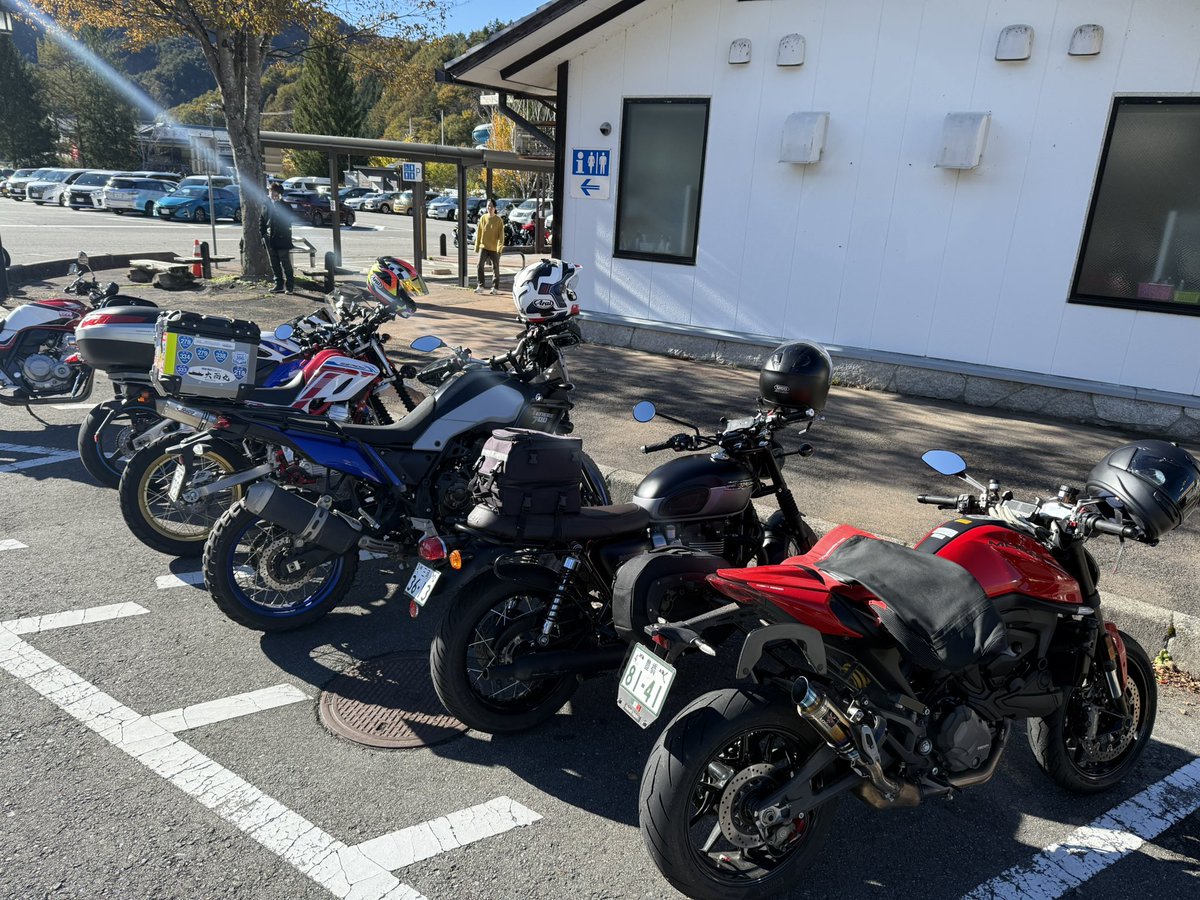 noir様 おまとめ2点 三鳥sa ルチアピsa noir様 おまとめ2点 三鳥sa ルチアピsa noir様 おまとめ2