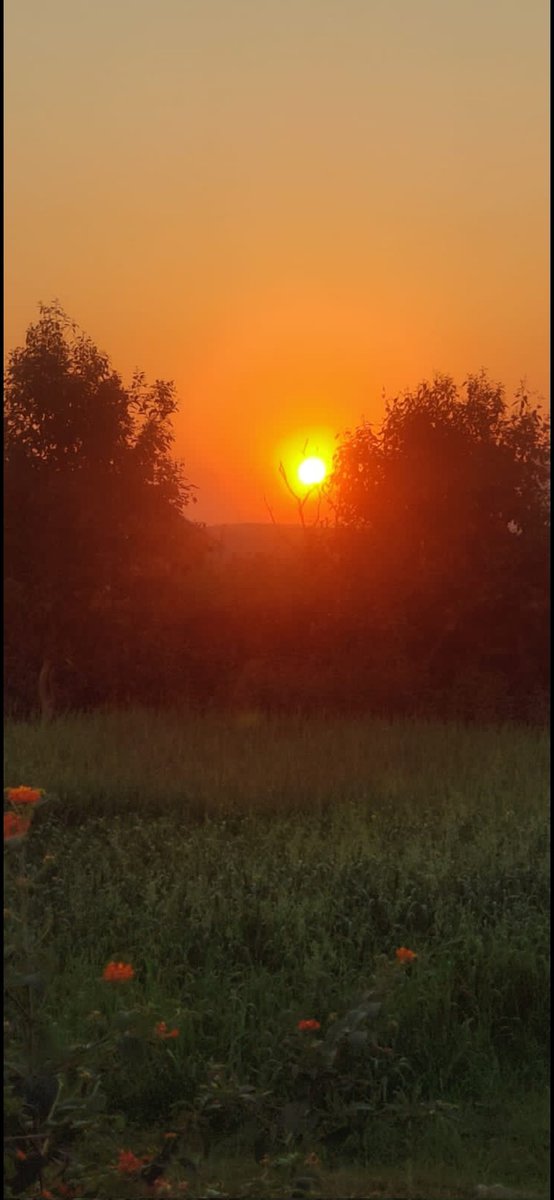 Richaghumare's tweet image. #saw it 
#Liked it
#Clicked it