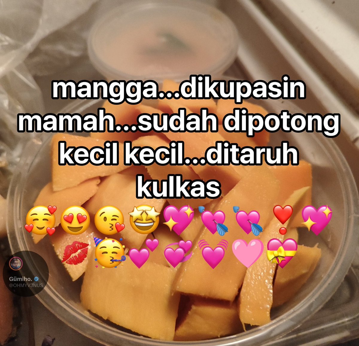 Gümiho. (@ohmyv3nus) on Twitter photo 