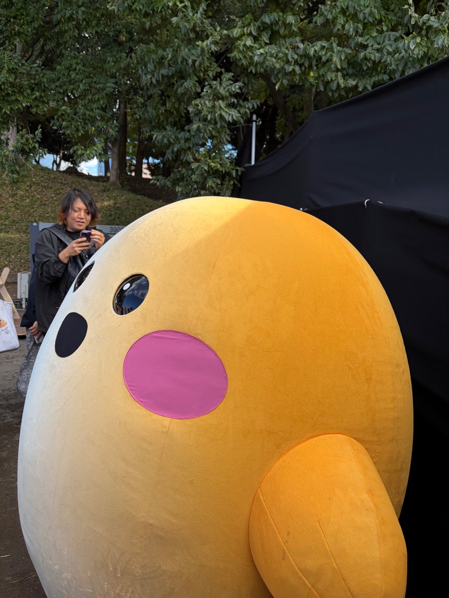 ぬいぐるみ erina eRina(エリナ) (@eRina86794611) / Posts / X