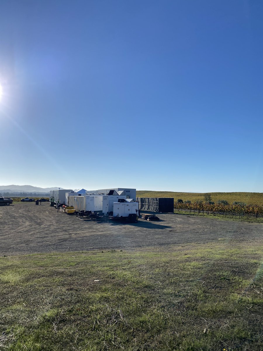 AMOS - Anna-Marie Sullivan tweet media