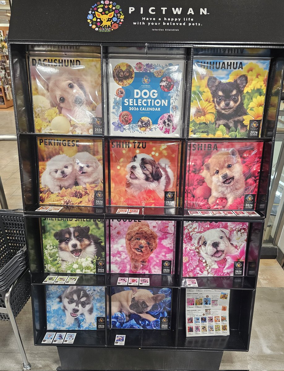 【SOLD】お正月❁飾り シーズー SOLD】お正月❁飾り シーズー SOLD】お正月❁飾り シーズー シーズー犬