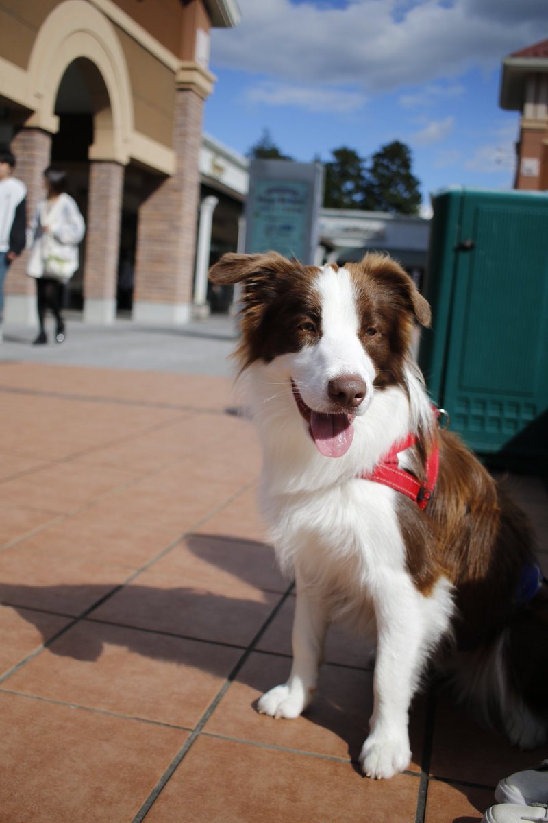 今日のソラ
御殿場アウトレットにて