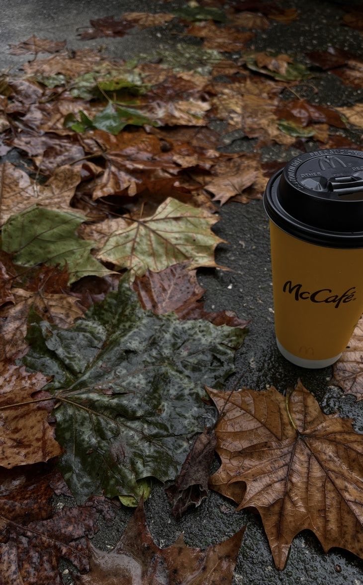 Sabahınız Xeyir 🍁
#RainyDay