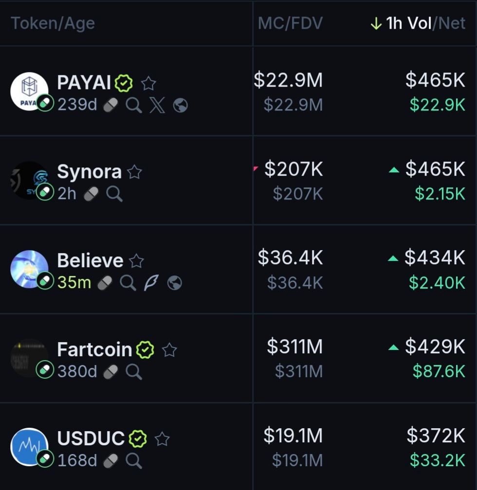 kkashi_yt's tweet image. Top Pumpfun coins for the past 1 hour based of volume:

$Payai
$Synora
$Believe
$Fartcoin
$Usduc