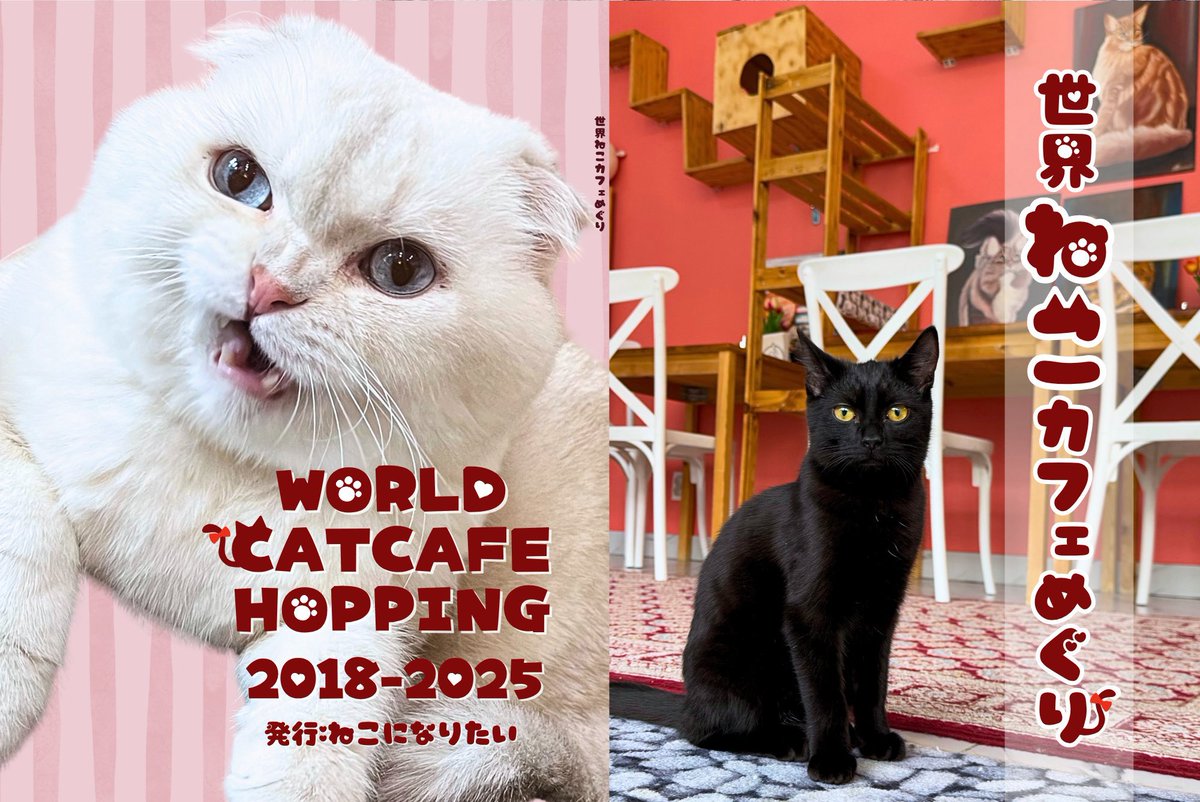 ねこになりたい (@ytyt1217) / Posts / X