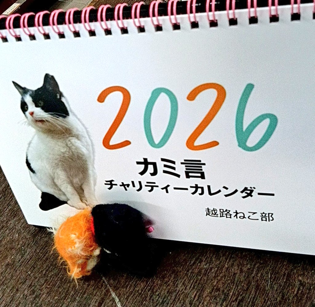 ダブル☆ピース（🐏🐑オネム雑貨店＆黒猫堂🐈‍⬛🐾） on X