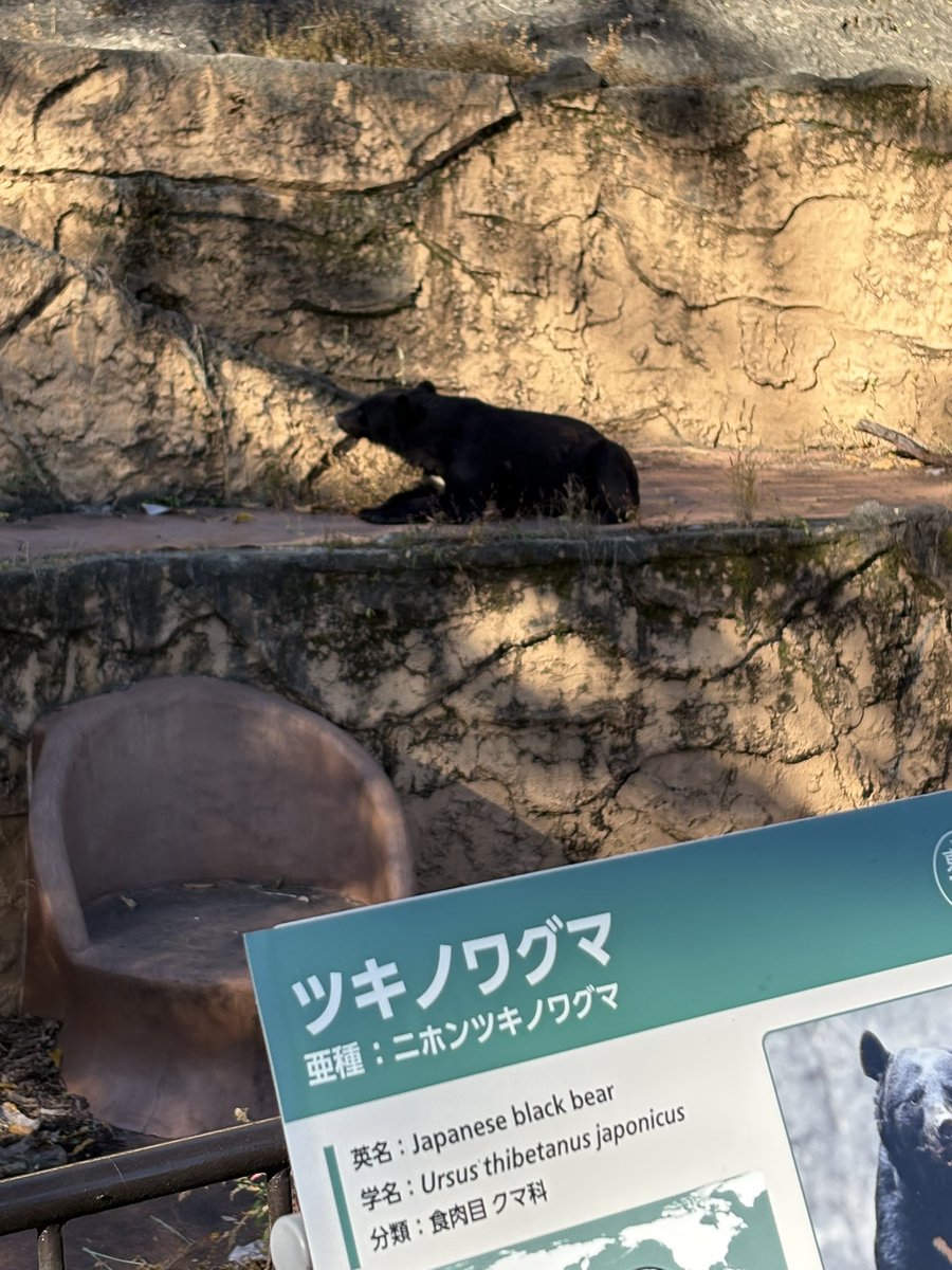 2箱❣️チタン1箱と銀粒1箱❣️おまけに痩せ報告説明書カラーコピー なめ茸 (@c___i___b) / Posts / X