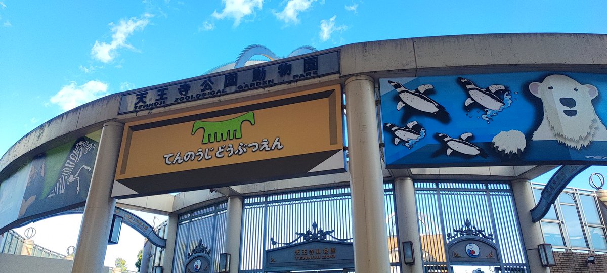 オーダー受付　見上げる　わんこ　ご予約ページ　5/17 楽天市場】【マラソン限定 500円クーポン+P5倍】ペットゲート おくだけ