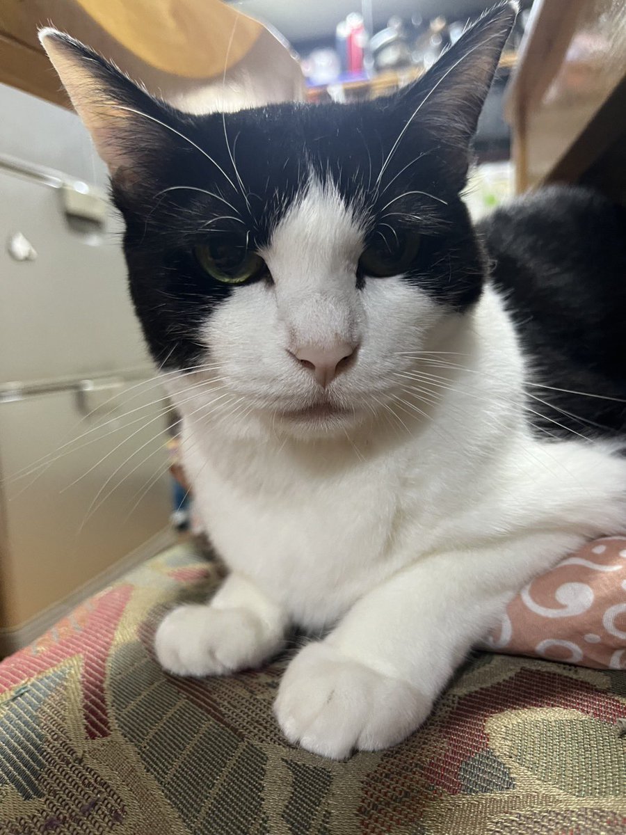 らーぐ_🍄🪼👑 tweet media