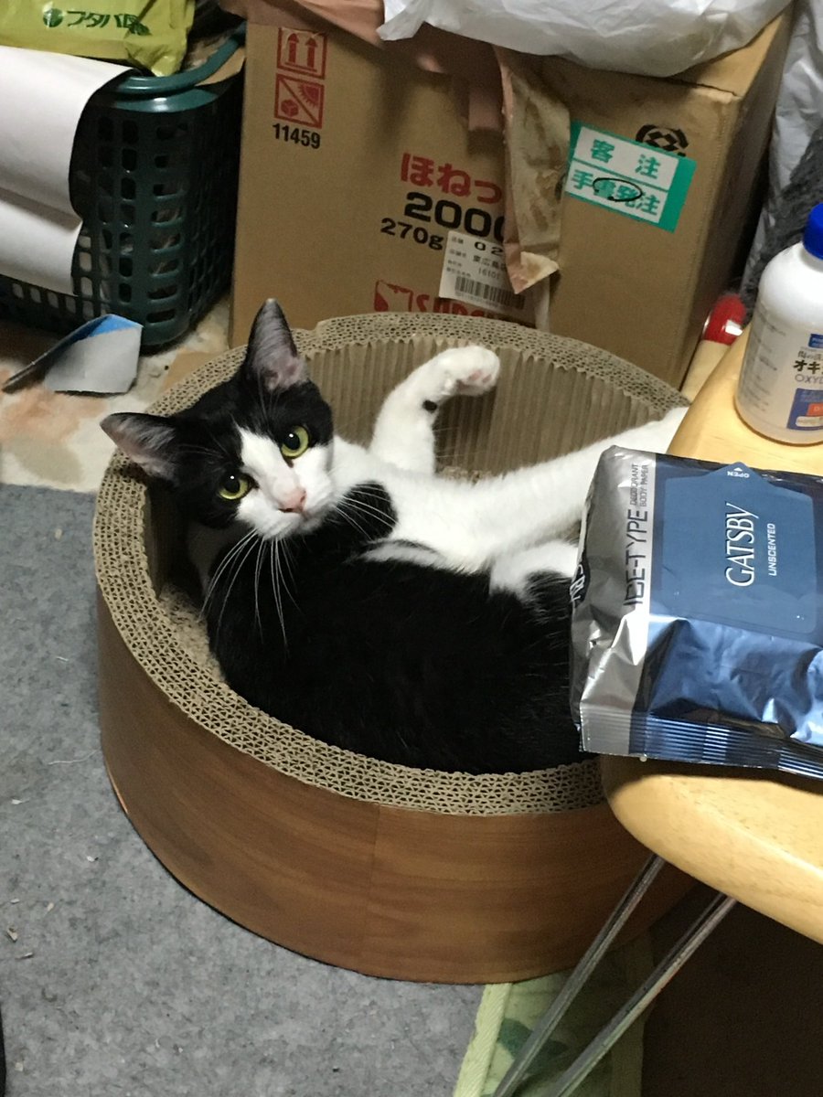 らーぐ_🍄🪼👑 tweet media