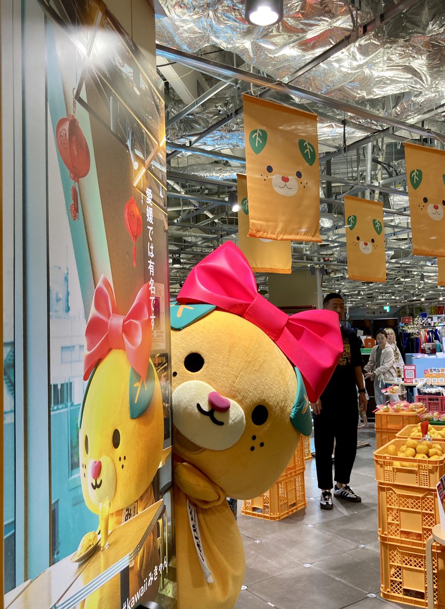 りる (@ku57ma) / Posts / X