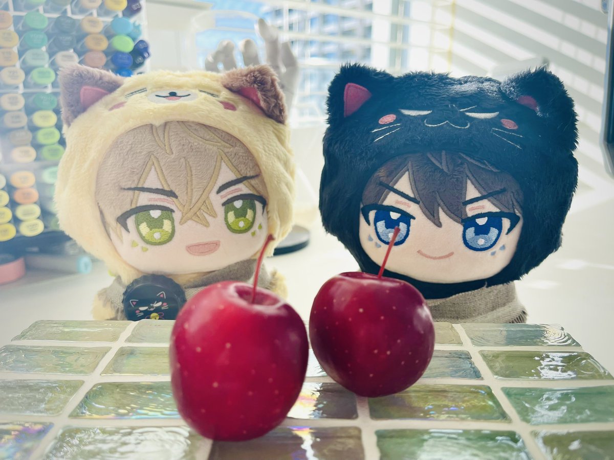 桜日梯子 on X 桜日梯子 on X